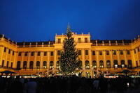 Weihnachtsmarkt Schloss Schönbrunn Wien 2014 (Fotos privat)